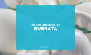 Substitutes for Burrata