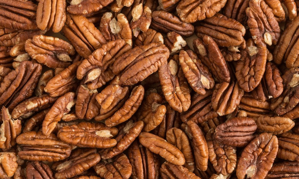 Substitutes for Chestnuts Pecans
