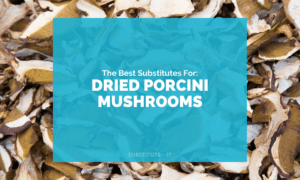 Substitutes for Dried Porcini Mushrooms