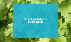 Substitutes for Lovage