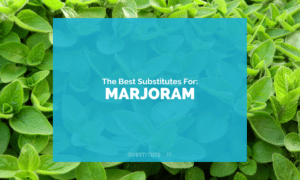Substitutes for Marjoram