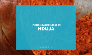 Substitutes for Nduja