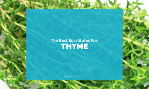 Substitutes for Thyme