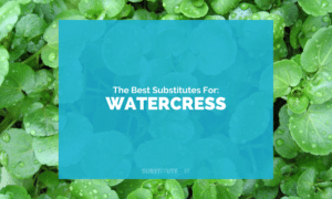 Substitutes for Watercress