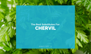 Substitutes for Chervil