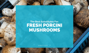 Substitutes for Fresh Porcini Mushrooms