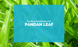 Substitutes for Pandan Leaf 1