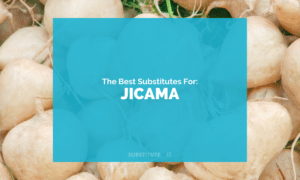 Substitutes for Jicama