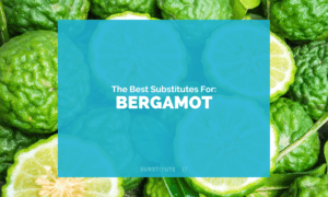Substitutes for Bergamot