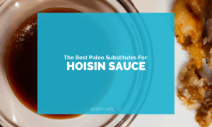 Paleo Substitutes for Hoisin Sauce