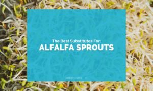 Substitutes for Alfalfa Sprouts