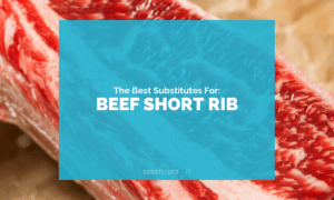 Substitutes for Beef Short Rib