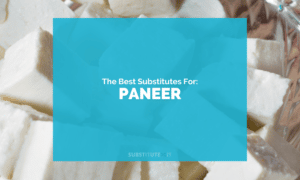 Substitutes for Paneer