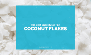 Substitutes for Coconut Flakes