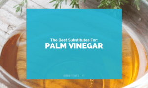 Substitutes for Palm Vinegar